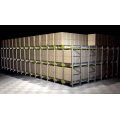 Shuttle Racking para armazenamento compacto em Cold Store